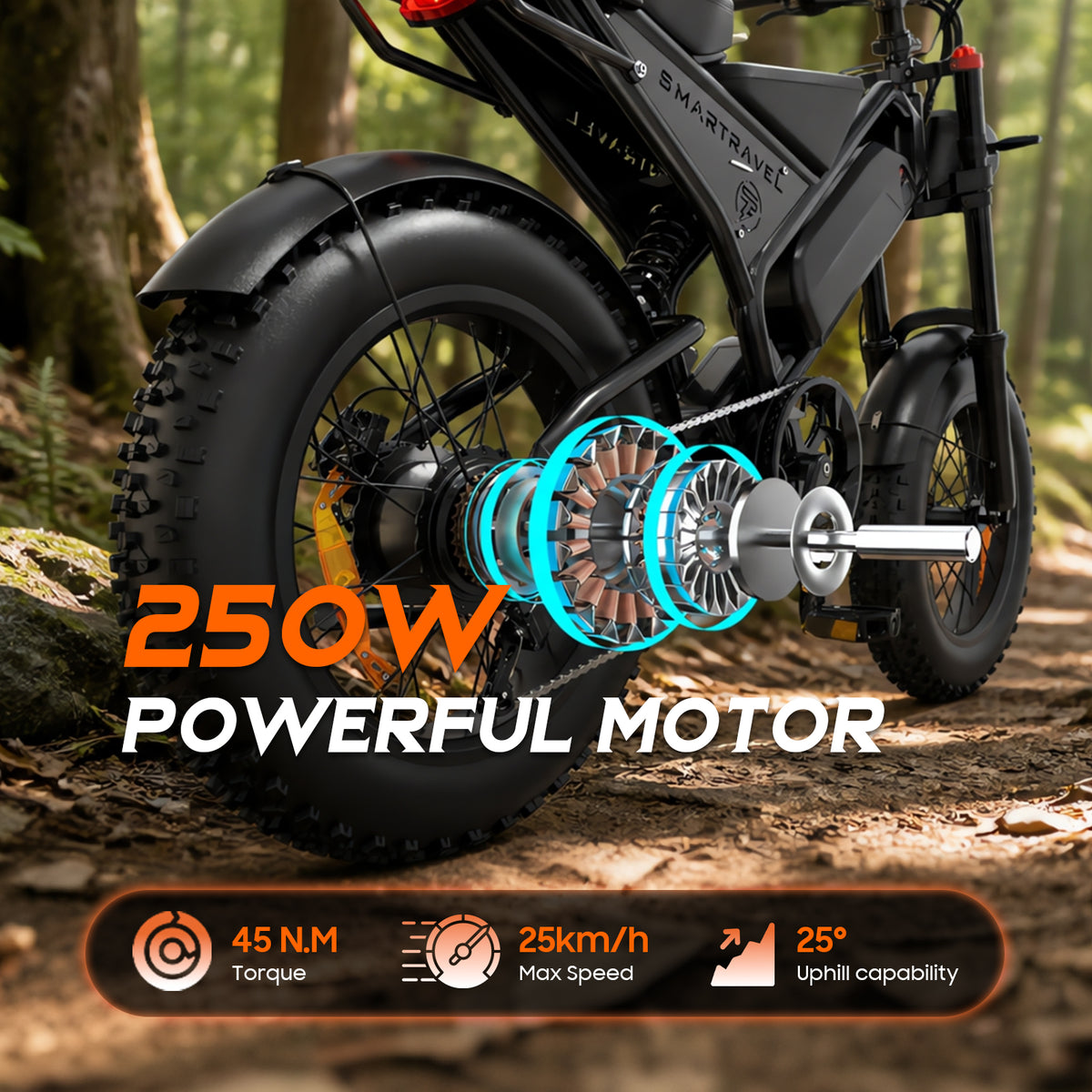 Veloflow DK400 Pro Electric Bike