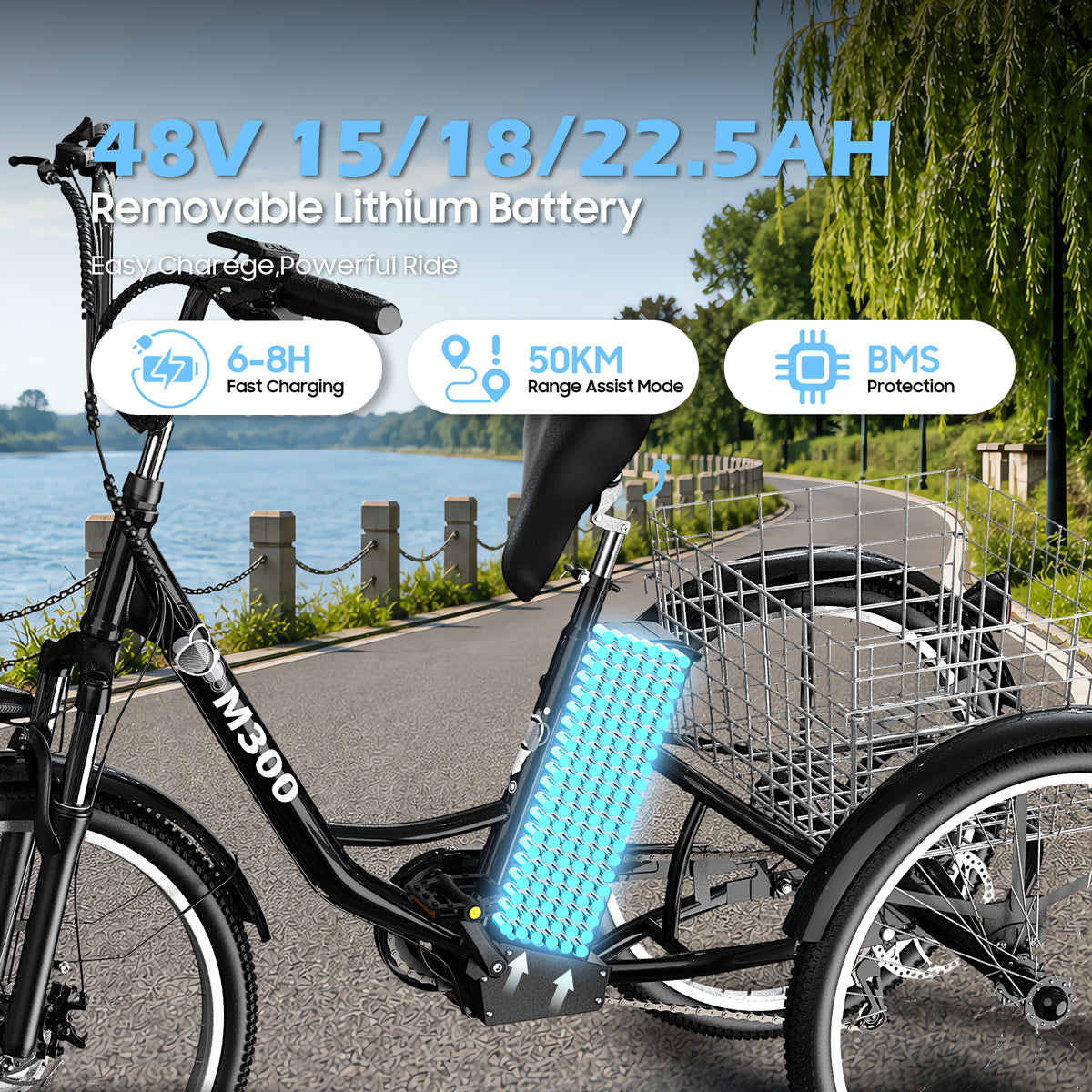 Veloflow M300 Electric Tricycle
