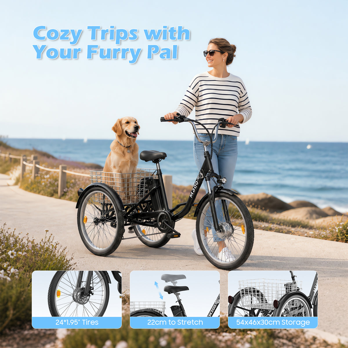 Veloflow M300 Electric Tricycle