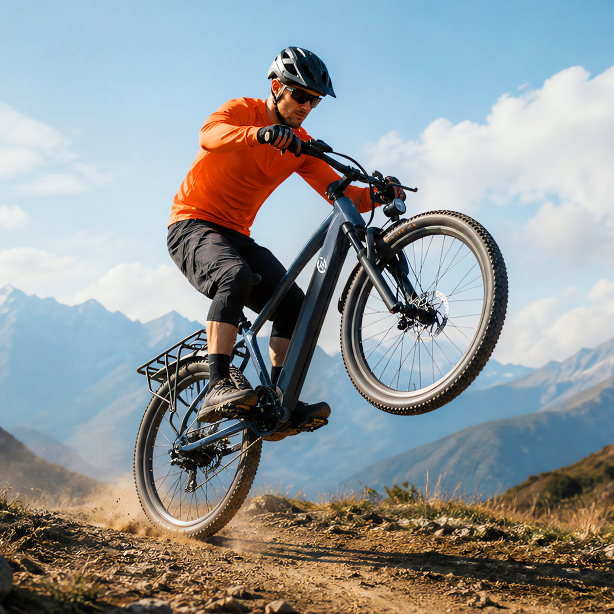 Veloflow L26D Electric City Bike (with Rack)